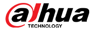 dahua